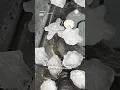 Hail in Strange Shapes Part of Monday s Severe Weather