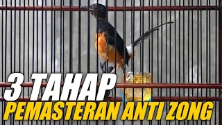 3 Tahap pemasteran MURAI BATU