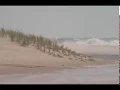 Dune Breached Near Dewey Briefly Closes Route 1