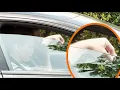 Ben Affleck Enjoys A Smoke While Jennifer Lopez Rides Shotgun