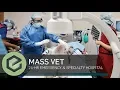 Massachusetts Veterinary Referral Hospital