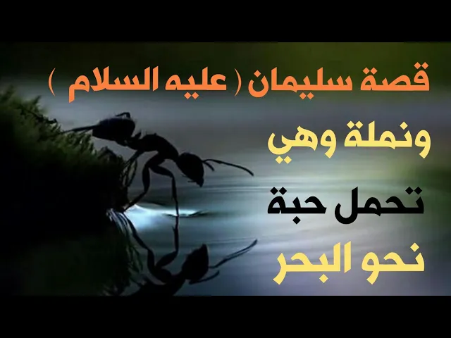 ⁣قصة سليمان عليه السلام ونملة وهي تحمل حبة نحو البحر