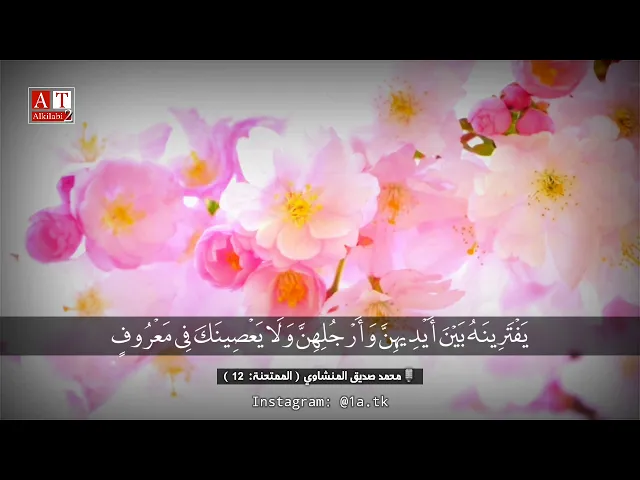 ⁣يَا أَيُّهَا النَّبِيُّ إِذَا جَاءَكَ الْمُؤْمِنَاتُ يُبَايِعْنَكَ .. || الشيخ محمد صديق المنشاوي