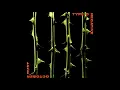 Type O Negative ♪ Cinnamon Girl