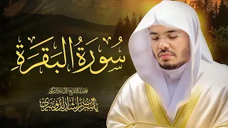 حصن المنزل سورة البقرة كاملة للشيخ د. ياسر الدوسري - Surat Al-Baqarah