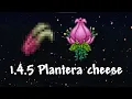 How To Kill Plantera In 20 seconds - Terraria