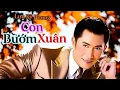 Lagu Con Bướm Xuân - LƯU KỲ PHONG tiếng hát vì Tình Yêu 