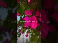 Download Lagu pahle bhi main ❤️‍🩹🤍