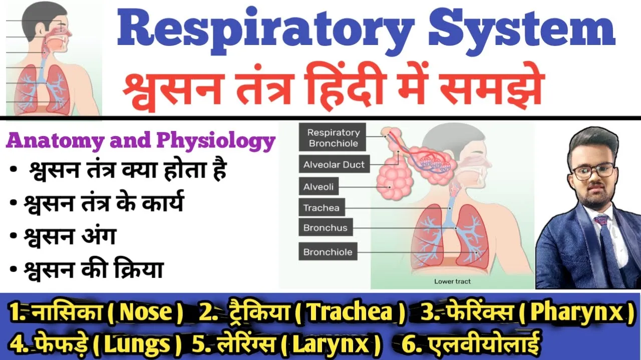 Respiratory System (श्वसन तंत्र) | Respiratory Tract | Lungs | Bronchi | Trachea | Alveoli | Larynx