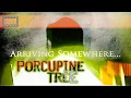 Download Lagu Porcupine Tree ( Arriving Somewhere Live 2005 ) Full Concert 16:9 HQ