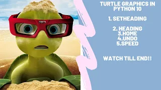 Turtle graphics in python 10 learn here setheading heading undo home speed python