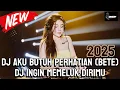 Lagu DUGEM FUNKOT PALEMBANG TERBARU ‼️ DJ AKU BUTUH PERHATIAN TAPI TAK KAU HIRAUKAN X DJ MENEKETEHE ‼️