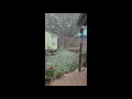 Hail coming down hard in south Temple