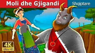 Download Moli dhe Gjigandi | Molly and The Giant Story | Perralla per femije | Perralla Shqip MP3