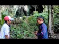 Download Lagu Viral.! seorang pertapa di gunung Selok tidak bisa pulang karena ini