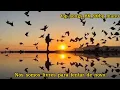 Download Lagu robin zander in this country (tradução)