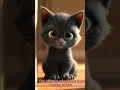 The Journey of a Stray Cat 6th Separation from Mother