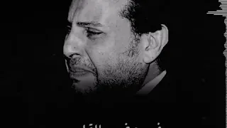 هاني شاكر   بكل العمر دندنها