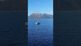 SAVE ME! Trapped in an iceberg 😮 #wild