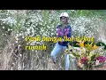 Download Lagu Hobby Lobby continue picking wildflowers