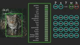 Let s Visualize How YOLO Works