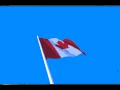 Three js - Flag