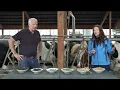 Download Lagu GEA Dairy Farming - Cooking Show for dairy cows - Episode 2