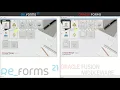 Re - Forms 21 side-by-side with Oracle Forms