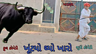 ખૂંટયો થ્યો ખારો|bhurocomedy|gujaraticomedy|bccomedy