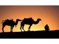 Download Lagu Oriental Music Instrumental - Silk Road