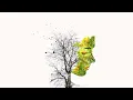 Tied to You - LöKii & Lipless
