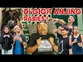 Download Lagu PAK AMIR TERKENA RABIES !