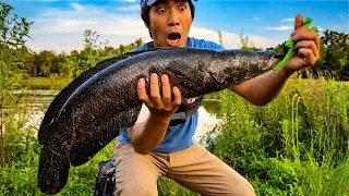 We Came Back 7 Years Later... The Fish Became MONSTERS