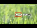 Download Lagu SUNYI  by Wella Novelfi - cipt. Edy Djamahir