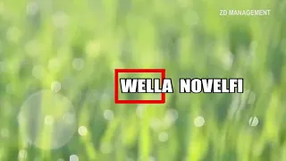 Download SUNYI  by Wella Novelfi - cipt. Edy Djamahir MP3