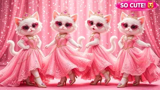 मजेदार बिल्ली डांस 😺💃 billi ka dance video | Cat videos | funny kitten | billi dance | @munmuntvabcd
