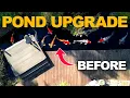 Download Lagu 50,000 Gallon (Nature) Koi Pond Transformation! GEISSENS FAMILY