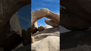 Joshua Tree