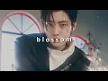 Download Lagu enhypen - blossom (slowed + reverb)