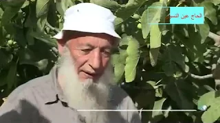 بعض انواع التين   الكرموص   دندنها