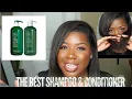 Ulta Has a Sale Paul Mitchell Tea Tree Shampoo Conditioner Review Anti-