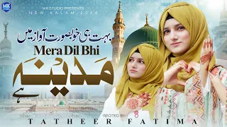 New Naat Sharif | Mera Dil Bhi Madina Hai | Tatheer Fatima | Madina Naat Sharif | MK Studio Naat
