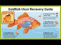 Goldfish Treatment Ulcers