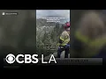 Driver rescued after plunging hundreds of feet over Big Bear mountainside