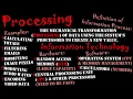 Introduction to the Information Processes Processing