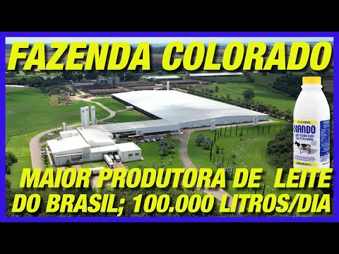 Download MP3 FAZENDA COLORADO - A MAIOR PRODUTORA DE LEITE DO BRASIL