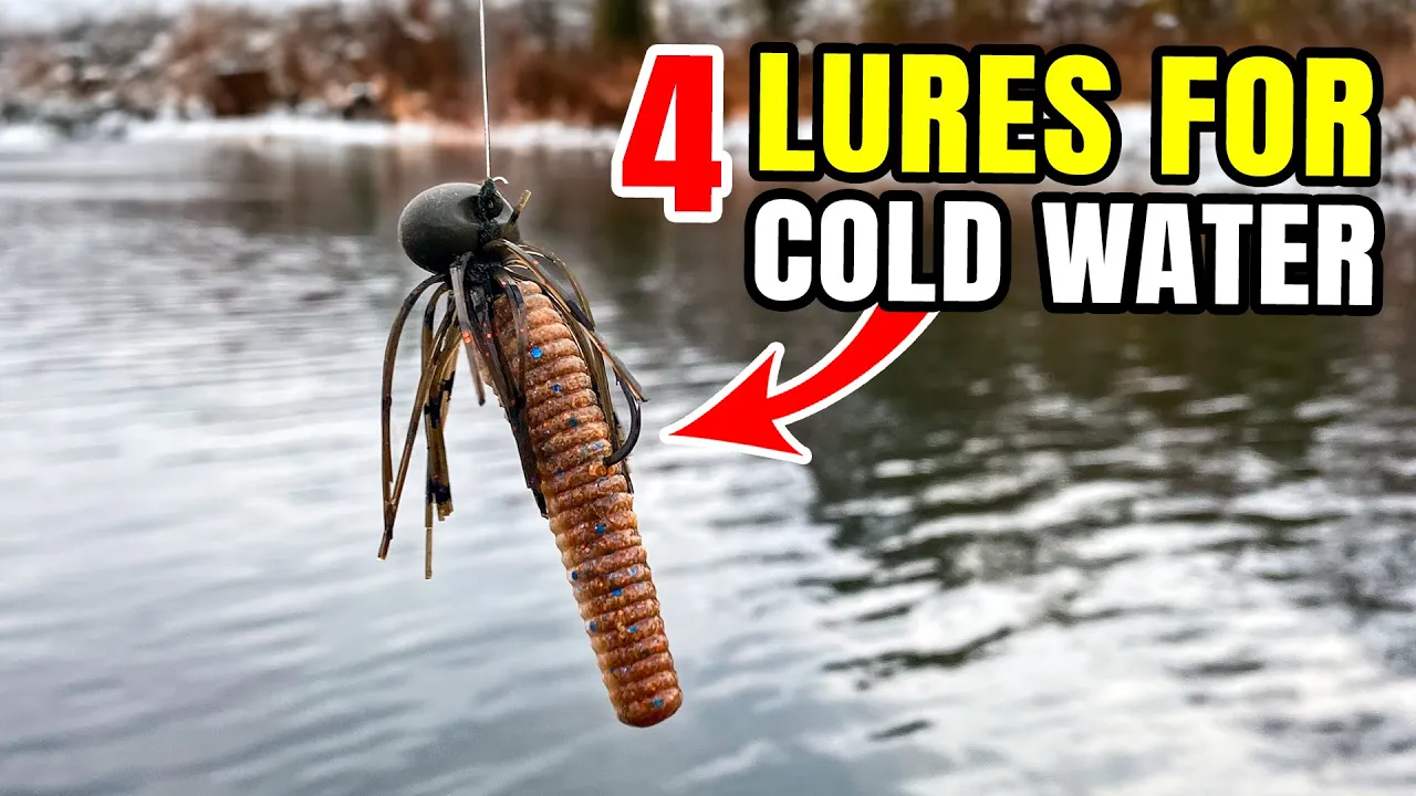 Use These 4 Lures to Catch More Cold Water Bass