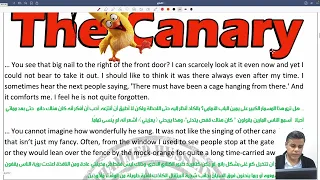 قصة الكناري 