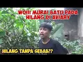 Download Lagu Gawat murai batu di aviary pada hilang tanpa sebab pada kemana ya???..