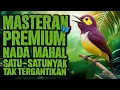 OFFICIAL VIDEO – MASTERAN BURUNG PREMIUM Nada Mahal • Satu-Satunya yang Tak Tergantikan 